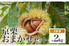 《11月中旬以降発送》丹波栗 おまかせセット 4種類 約2kg【 数量限定 氷温熟成 栗 2kg 2キロ ぽろたん 石鎚 岸根 このみ 銀寄 美玖里 筑波 万点甘栗 農家直送 無農薬 果物 フルーツ くり 国産 京都 綾部 】 