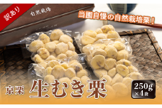 《12月発送》【訳あり】京栗 生むき栗 冷凍 1kg（250g×4袋） 国産 丹波栗 くり 栗  京栗 生むき栗 冷凍  むき栗 和栗 京の栗 国産 自然栽培 農家直送 わけあり 訳アリ 無農薬 果物 フルーツ スイーツ 季節限定 京都 京都産 綾部 綾部市 
