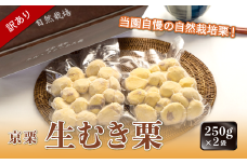 《12月発送》【訳あり】京栗 生むき栗 冷凍 500g（250g×2袋）京都 綾部 丹波栗 自然栽培 京都府産 農家直送 国産 わけあり 訳アリ 無農薬 果物 フルーツ 