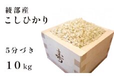 令和7年産 新米 コシヒカリ 10kg 5分づき 精米  国産 京都府産 綾部産 こしひかり お米 米 コメ こめ ごはん