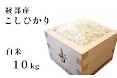 令和7年産 新米 コシヒカリ 10kg 白米 精米  国産 京都府 綾部産 こしひかり お米 米 コメ こめ ごはん