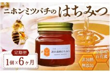 【定期便】 ニホンミツバチのはちみつ 300g×6回 | 京都産 非加熱 国産 百花蜜 自然のままの純粋蜂蜜 はちみつ ハチミツ 蜂蜜 ハニー 瓶詰 （週末養蜂） 毎月定期便 6回定期便