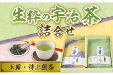 生粋の宇治茶詰合せ(玉露100g・特上煎茶100g)【uj-AW001】【合資会社松阪屋嘉八本店】