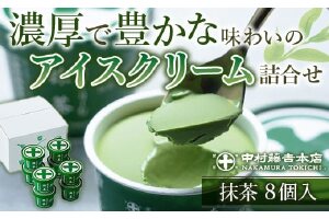 《中村藤吉本店》濃厚で豊かな味わいのアイスクリーム詰合せ(1種・計8個)【uj-AZ001-B】【中村藤吉本店】