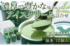 《中村藤吉本店》濃厚で豊かな味わいのアイスクリーム詰合せ(1種・計12個)【uj-AZ002-B】【中村藤吉本店】