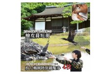 DP03 【家族で可能な伝統文化体験】 檜皮葺＋日本でここだけ「放ち鵜飼」観覧券（４枚）