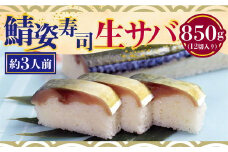 身の厚い鯖姿寿司(850g)【uj-CQ003】【京料理 竹林 本店】