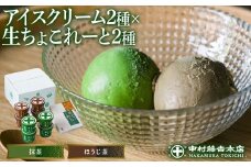 《中村藤吉本店》濃厚で豊かな味わいのアイスクリームと生ちゃこれーと詰合せ(抹茶・ほうじ茶×各1) 【uj-AZ010】【中村藤吉本店】
