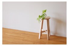 USISU(うすいす)【uj-CY006】【平山日用品店】
