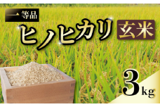 一等品 京都府産 ヒノヒカリ 3kg 玄米 宇治 ごはん ひのひかり 令和6年産 京都 京都府 減農薬　EJ03