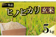一等品 京都府産 ヒノヒカリ 5kg 玄米 宇治 ごはん ひのひかり 令和6年産 京都 京都府 減農薬 EJ04