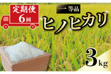 定期便 6回 一等品 京都府産 ヒノヒカリ 3kg 白米 宇治 ごはん ひのひかり 令和6年産 京都 京都府 減農薬 EJ05