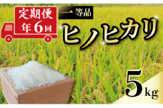 定期便 6回 一等品 京都府産 ヒノヒカリ 5kg 白米 宇治 ごはん ひのひかり 令和6年産 京都 京都府 減農薬 EJ06