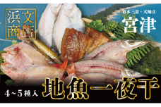 【ふるさと納税】浜文地魚一夜干セット【お届け：1月20日～11月末】魚貝類 魚 地魚 一夜干し 干物 ひもの 詰め合わせ セット [№5716-0021]