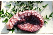 【ふるさと納税】丸々太ったボイルタコ　1本 魚貝類 たこ タコ 茹で 刺身 たこ焼き 炒め物 酢の物 フライ 天ぷら 冷凍 日本海産 惣菜  日本酒 肴 珍味 ご飯のお供  日本酒 お取り寄せ 食品 食べ物 おつまみ 贈り物 プレゼント 家庭用 自宅用 送料無料[№5716-0151]