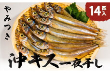ふっくら柔らかい沖キスの一夜干し 14匹入 日本海 沖キス キス 一夜干し 干物 魚 ひもの おつまみ 日本酒 肴 珍味 ご飯のお供[№5716-0160]