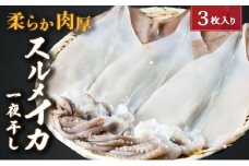 柔らか肉厚のスルメイカ一夜干し 3枚 魚貝類 イカ いか スルメイカ お酒 つまみ 特大 新鮮 保存 冷凍 国産 送料無料 酒の肴 酒のつまみ[№5716-0163]