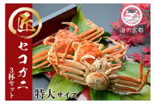 茹でコッペがに 子持ち 特大サイズ 3杯セット（冷蔵） ボイル 蟹 松葉ガニ ズワイガニ カニ かに 茹で 子持ち 内子 外子 蟹味噌 京都 海の京都[№5716-0189]