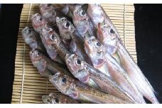 ハタハタ（大）干物　一夜干し　450g ×2箱【配送不可：離島】 [№5716-0210]