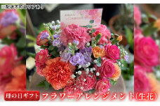 【2024年 母の日 ギフト 】 フラワーアレンジメント ( 生花 )[ プレゼント 花束 人気返礼品 ] [№5716-0218]