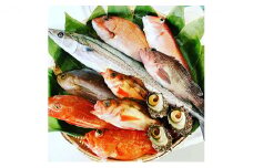 京都府宮津市産『朝どれ！山一鮮魚おおきに便』約4～5kg《未加工》[№5716-7008]0240
