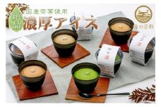磯野開化堂【 京都 】濃厚 お茶 アイス セット（4種計8個）[ アイスクリーム 人気返礼品 ][№5716-0245]