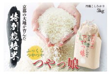 令和6年産 特別栽培米つやっ娘米 5kg 丹後こしひかり お米 米 ご飯 コシヒカリ つやっ娘 丹後 宮津 京都 海の京都 特別栽培米 新米 グルメ [№5716-0247]