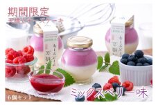 【期間限定】天橋立チーズケーキ・ミックスベリー　6個セット[№5716-0248]