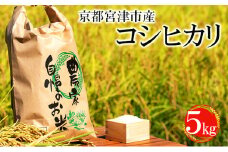 令和6年産 京都宮津市産コシヒカリ 5kg お米 白米 精米 コシヒカリ 5キロ 送料無料 ギフト ごはん ご飯 おにぎり お弁当 [№5716-0246]