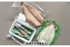 【ふるさと納税】京都 ・ 天橋立 海鮮3種詰め合わせセット 特大ホッケ サザエ串 イカ一夜干し 海鮮 魚貝類 魚 サザエ いか イカ ホッケ 一夜干し [№5716-0258]