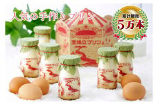 天橋立 プリン 6本入 お菓子 洋菓子 ご当地プリン ご当地スイーツ 乳製品 グルメ ギフト お歳暮 送料無料 ハロウィン 誕生日 お中元 贈り物[№5716-0276]