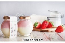 天橋立チーズケーキ　いちご　6個セット[№5716-0281]