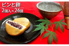 【ふるさと納税】京都・天橋立で大人気 ピンと餅 2個入×24個 和菓子 生菓子 お菓子 和スイーツ スイーツ おやつ お茶菓子 お茶うけ [№5716-0289]