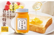 【2025年 新蜜 6月から発送】非加熱の生はちみつ、自然のままの品質を瓶詰めした、100％天然の純粋蜂蜜 600g [№5716-0287]