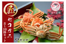 コッペがに　中サイズ8～10杯セット [№5716-0293]