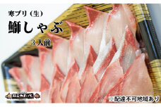 【ふるさと納税】寒ブリ（生・刺身可）しゃぶしゃぶ用（3人前分）魚貝類 魚 海鮮 ブリ 冬ギフト 刺身 しゃぶしゃぶ ブリしゃぶ 鰤 和食 [№5716-0327]
