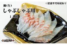 鯛（生）しゃぶしゃぶ用（1人前分） [№5716-0328]