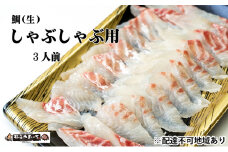 鯛（生）しゃぶしゃぶ用（3人前分） [№5716-0329]