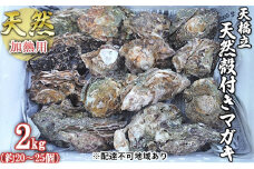 【ふるさと納税】天橋立 天然殻付きマガキ 2kg（約20～25個）【加熱用】魚貝類 牡蠣 カキ 天然 産地直送 焼き 蒸し 真牡蠣 日本酒 [№5716-0339]
