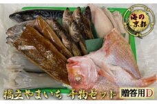 海の京都 橋立やまいち 干物セット 贈答用 D[ 一夜干し 桜干し ギフト ] [№5716-0380]