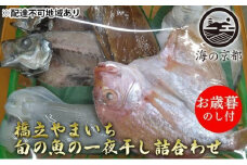 【御歳暮】海の京都 橋立やまいち 旬の魚の一夜干し詰合わせ[ 一夜干し 桜干し ギフト お歳暮 ] [№5716-0386]