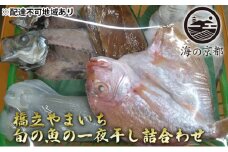 海の京都 橋立やまいち 旬の魚の一夜干し詰合わせ[ 一夜干し 桜干し ギフト ] [№5716-0385]