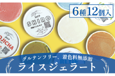 ライスジェラート 12個 セット(6種×各2個) アイス ジェラート 詰め合わせ お米 こしひかり コシヒカリ ライスミルク スイーツ 低カロリー[№5716-0389]