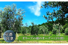 京都宮津 オリーブの樹のオーナー（3年間）[№5716-0390]