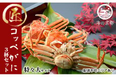 コッペがに 特々大サイズ 3杯セット（冷蔵） ボイル 蟹 松葉ガニ ズワイガニ カニ かに 茹で 子持ち 内子 外子 蟹味噌 京都 海の京都 日本海 国産 [№5716-0417]