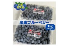 京都 天橋立産 冷凍 ブルーベリー 1kg（500g×2パック）（生食用） [№5716-0419]
