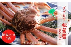 タグ付き 松葉蟹 （ボイル）特大1匹分[№5716-0440] 