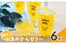 飲む 由良 みかんゼリー 6本入 《京都府宮津市産みかん使用》[ みかん オレンジ ゼリー シャーベット アイス ] [№5716-0466]