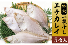 特大エテカレイ 一夜干し 5枚 [ カレイ 干物 小分け 個包装 ] [№5716-0468]