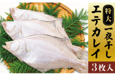【ふるさと納税】特大エテカレイ 一夜干し 3枚 魚貝類 魚 地魚 一夜干し エテカレイ カレイ 大きめ 干物 ひもの セット 冷凍 個包装 [№5716-0467]
